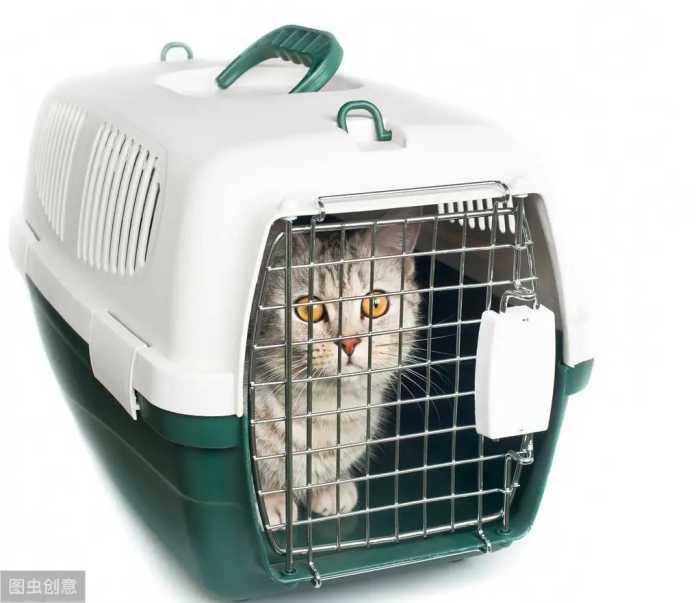 宠物托运，不止是准备航空箱那么简单，宠物托运费用你会计算吗？