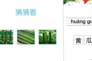 69汉语应用蔬菜篇：黄瓜 菜瓜 瓠瓜常见蔬菜发音与文字教程